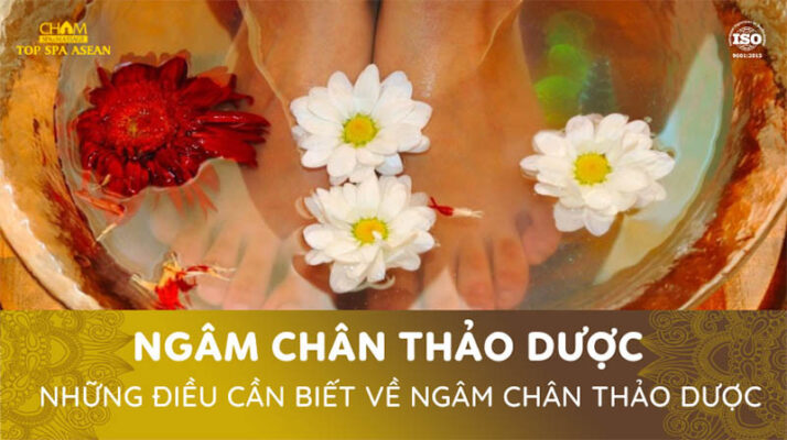 Ngâm chân thảo dược và công dụng của nó Cham Spa & Massage