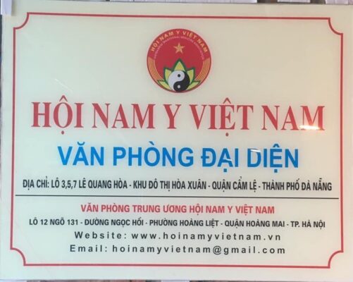 hội nam y việt nam