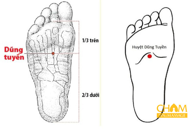 Massage bấm huyệt Dũng Tuyền Cham Spa & Massage