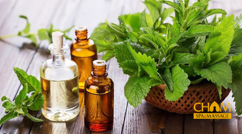 Tinh dầu massage bạc hà Cham Spa & Massage