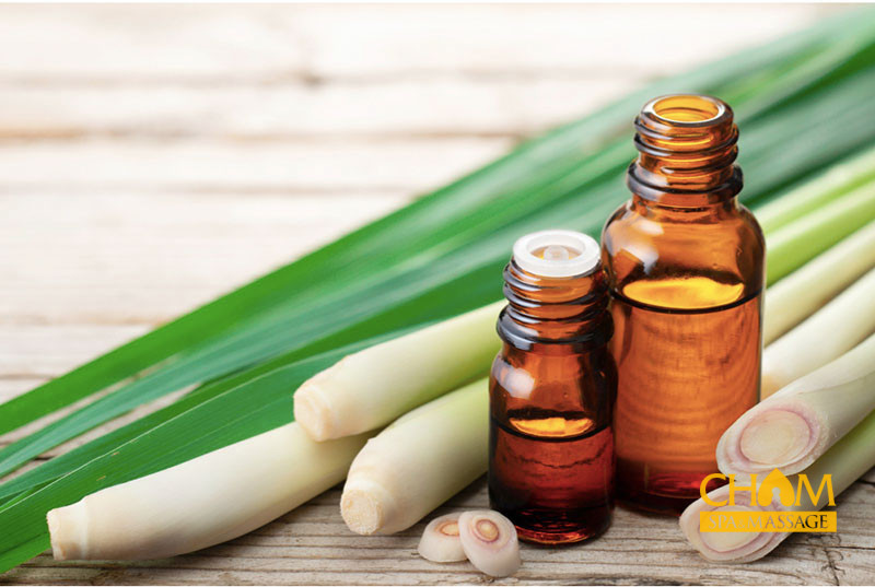 Tinh dầu massage chanh sả Cham Spa & Massage