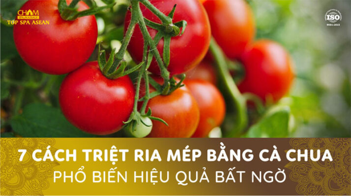7 cách triệt ria mép bằng cà chua phổ biến hiệu quả bất ngờ