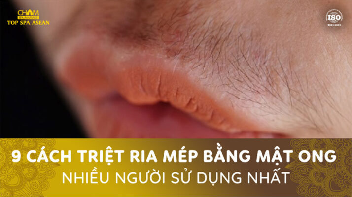 9 cách triệt ria mép bằng mật ong nhiều người sử dụng nhất