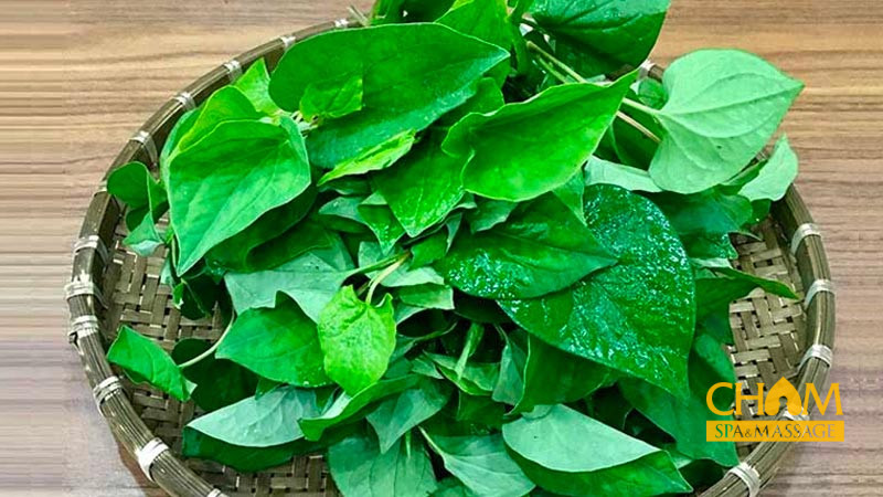 Rau diếp cá giúp giải độc cơ thể điều trị mụn vô cùng hiệu quả Cham Spa & Massage